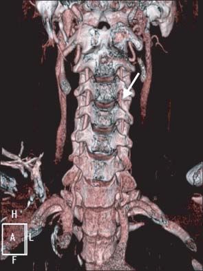 emj-37-41-g002.jpg